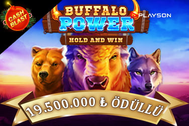 Buffalo Power: Hold and Win